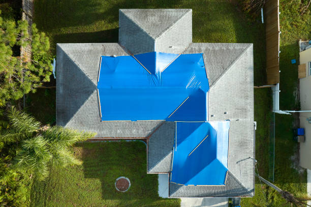 Best Roof Moss and Algae Removal  in Plains, MT