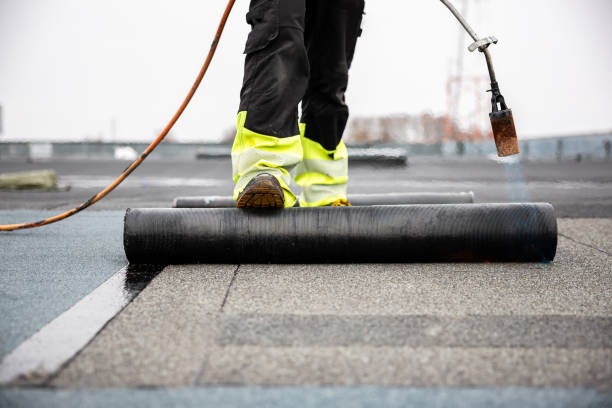 Best Roof Insulation Installation  in Plains, MT
