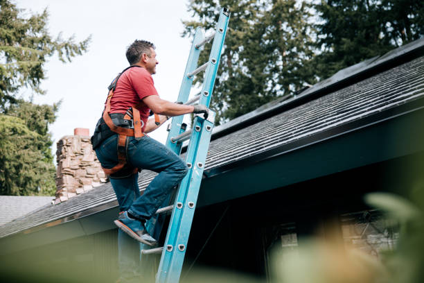 Best Green or Eco-Friendly Roofing Solutions  in Plains, MT